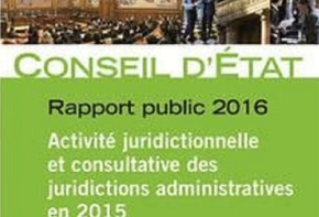 rapport public 2016